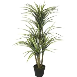 Online Green Yucca Tree in Black Planter Trees & Topiaries