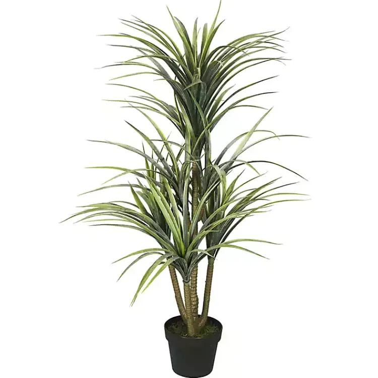 Online Green Yucca Tree in Black Planter Trees & Topiaries