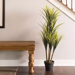 Online Green Yucca Tree in Black Planter Trees & Topiaries