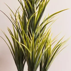 Online Green Yucca Tree in Black Planter Trees & Topiaries