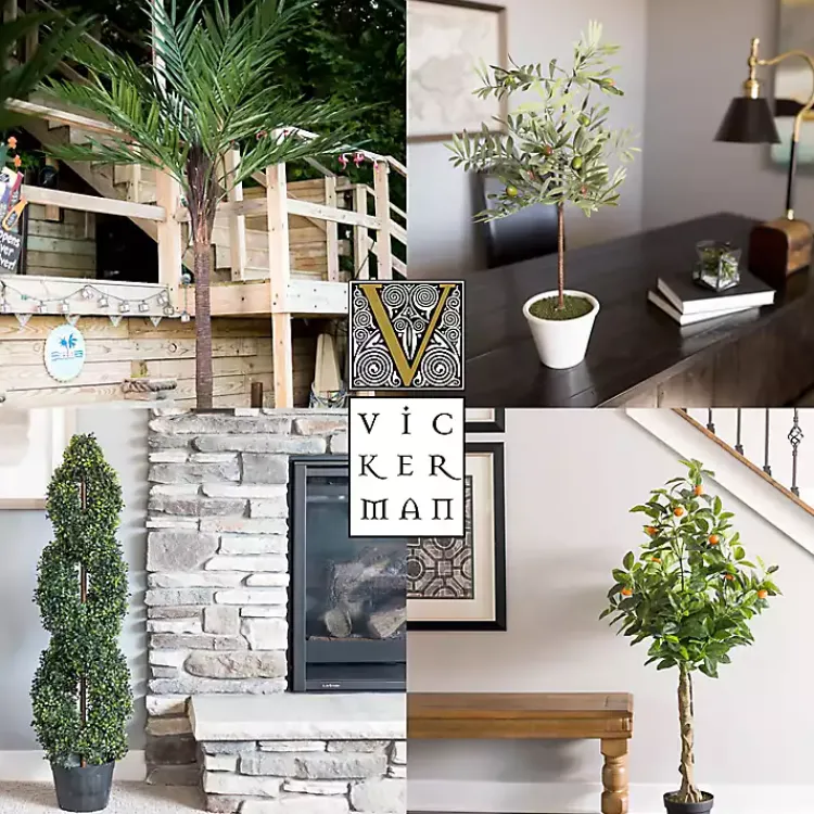 Online Green Yucca Tree in Black Planter Trees & Topiaries