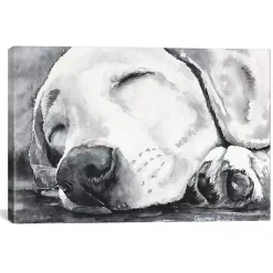 Kirklands Home Canvas Art|Happy Dreams Dog Giclee Canvas Art Print, 26x18 Gray