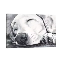 Kirklands Home Canvas Art|Happy Dreams Dog Giclee Canvas Art Print, 40x26 Gray