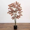 Discount Harvest Dogwood Tree in Nursery Planter, 3.5 ft. Trees & Topiaries
