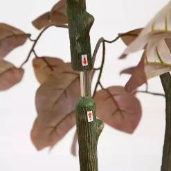 Discount Harvest Dogwood Tree in Nursery Planter, 3.5 ft. Trees & Topiaries