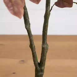 Discount Harvest Dogwood Tree in Nursery Planter, 3.5 ft. Trees & Topiaries