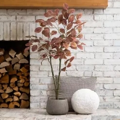 Discount Harvest Dogwood Tree in Nursery Planter, 3.5 ft. Trees & Topiaries