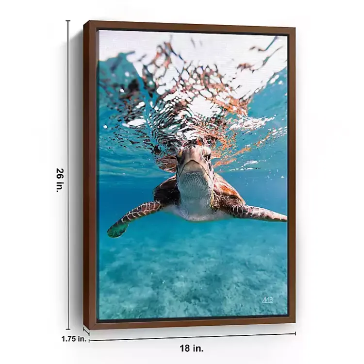 Kirklands Home Canvas Art|Hello Turtle Framed Canvas Art Print