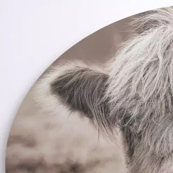 Kirklands Home Canvas Art|Highland Cow Arched Canvas Art Print Brown