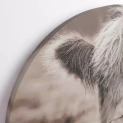 Kirklands Home Canvas Art|Highland Cow Arched Canvas Art Print Brown