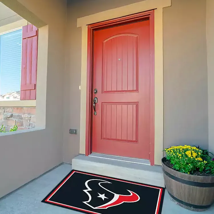 Kirklands Home Area Rugs|Houston Texans Area Rug, 3x4 Black