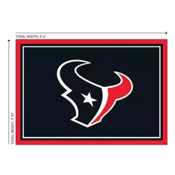 Kirklands Home Area Rugs|Houston Texas Area Rug, 4x6 Black