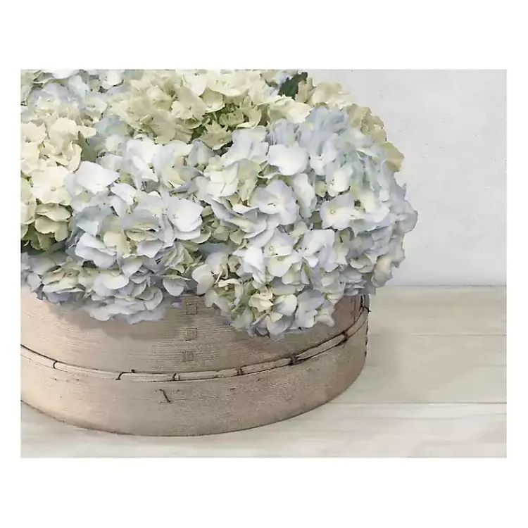 Kirklands Home Canvas Art|Hydrangea Cluster Canvas Art Print