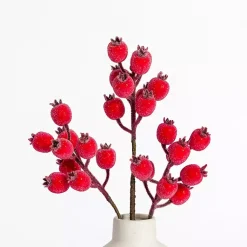 Sale Iced Berry Stems, Set of 2 Stems & Bouquets