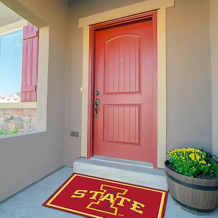 Kirklands Home Area Rugs|Iowa State University Area Rug, 3x4