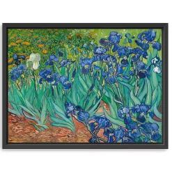 Kirklands Home Canvas Art|Irises Framed Canvas Art Print, 26x20 in.