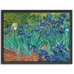 Kirklands Home Canvas Art|Irises Framed Canvas Art Print, 42x32 in.