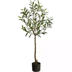 Outlet Italian Olive Tree in Black Nursery Planter, 4 ft. Trees & Topiaries