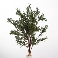 Japanese Pine Stem Stems & Bouquets