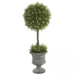 Hot Juniper Ball Tree in Pedestal Urn Trees & Topiaries