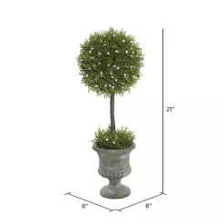 Hot Juniper Ball Tree in Pedestal Urn Trees & Topiaries