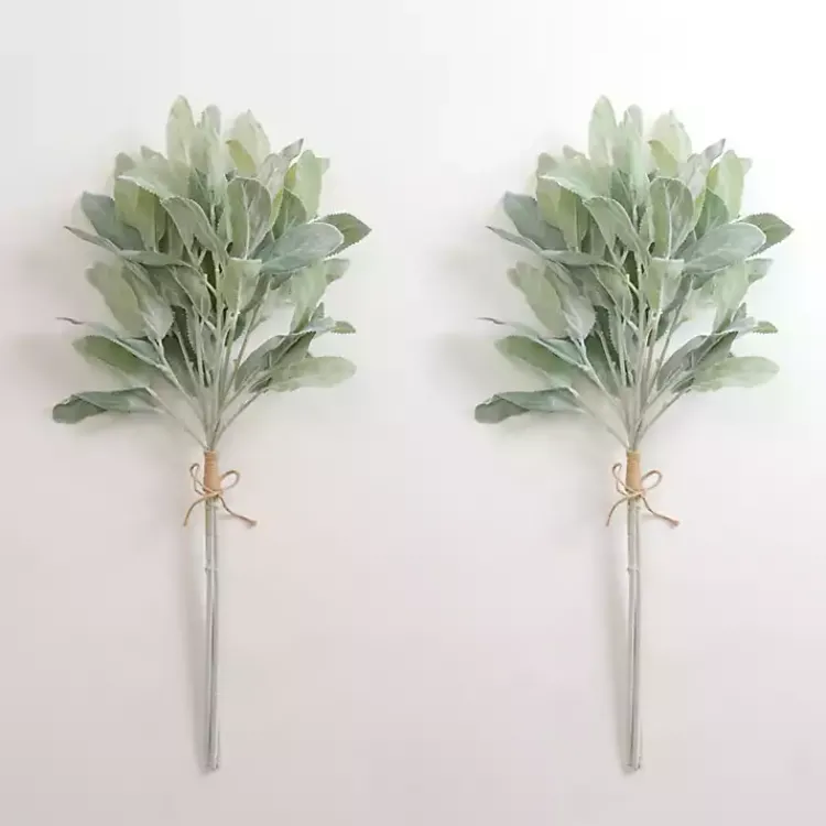 Outlet Lamb's Ear Bundles, Set of 2 Stems & Bouquets
