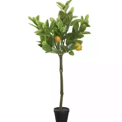 Hot Lemon Fruit Tree in Black Pot Trees & Topiaries