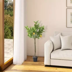 Hot Lemon Fruit Tree in Black Pot Trees & Topiaries