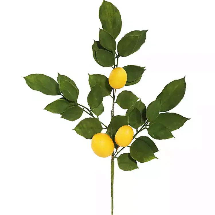 Lemon Leaf Spray Stems, Set of 4 Stems & Bouquets