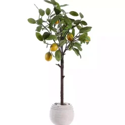 Lemon Tree in White Pot Trees & Topiaries