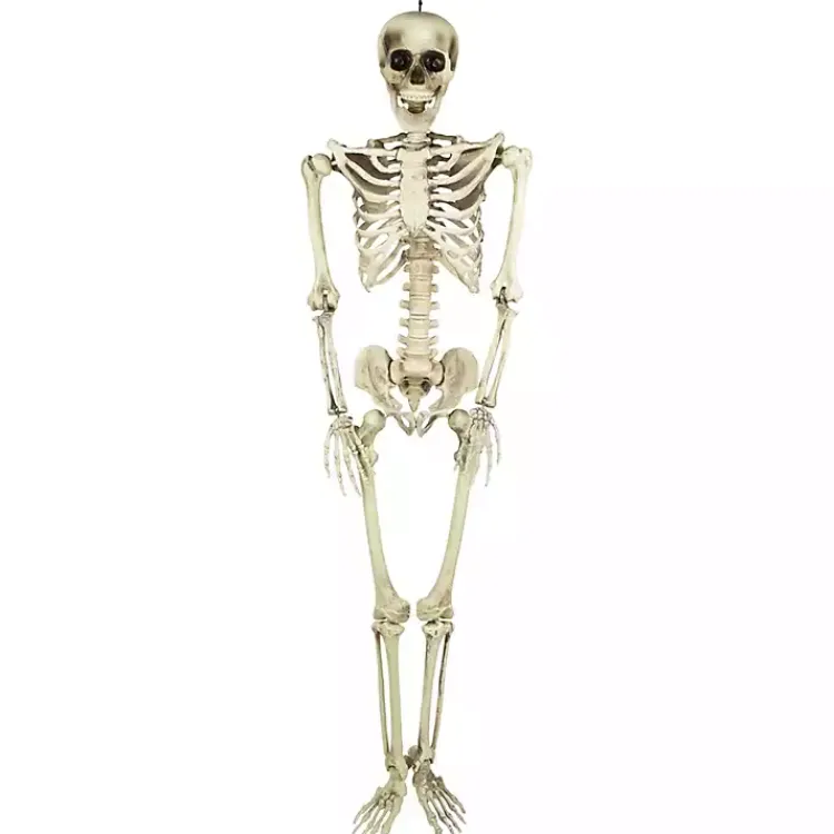Hot Life Size Outdoor Skeleton Decoration Halloween