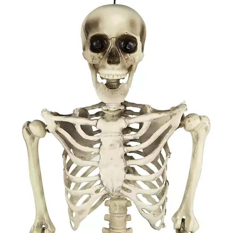 Hot Life Size Outdoor Skeleton Decoration Halloween