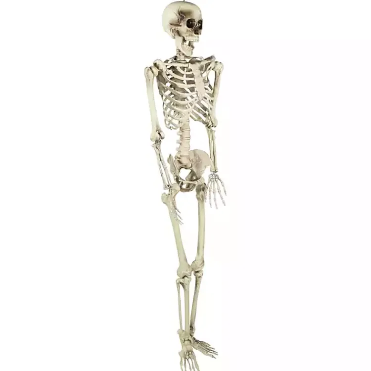 Hot Life Size Outdoor Skeleton Decoration Halloween