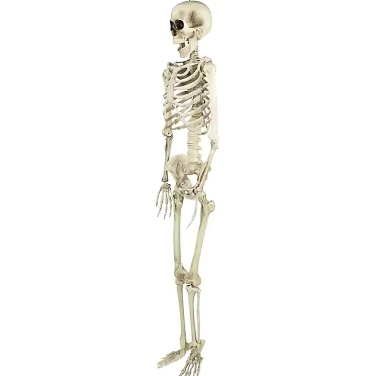 Hot Life Size Outdoor Skeleton Decoration Halloween
