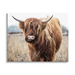 Kirklands Home Canvas Art|Longhorn in Tall Grass Canvas Art Print, 40x30 in. Brown
