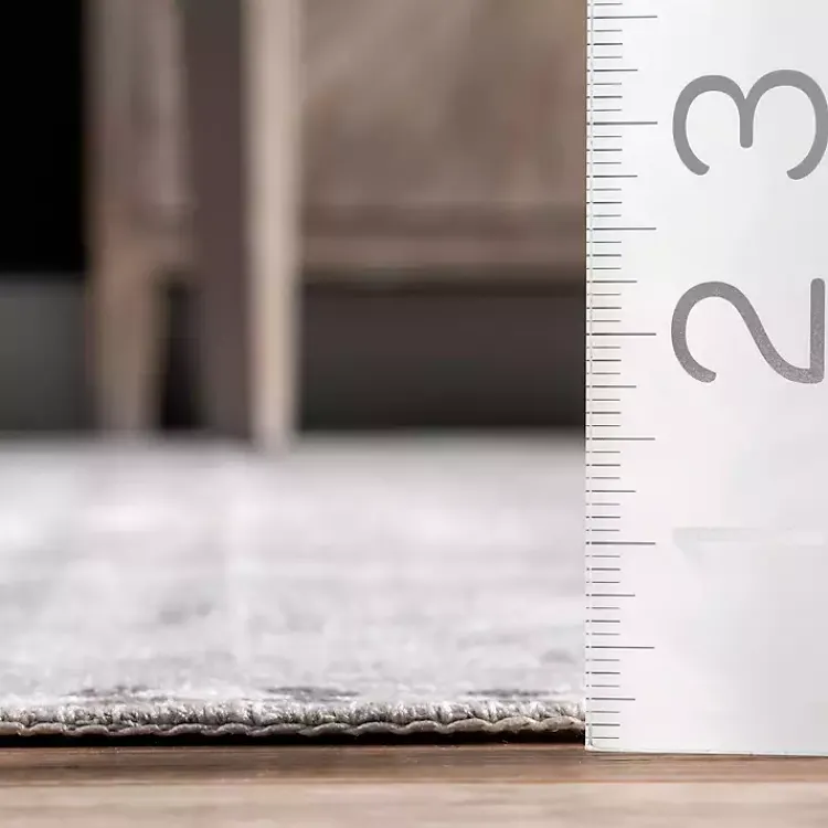 Kirklands Home Area Rugs|Lottie Vintage Washable Area Rug, 8x10 Gray