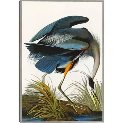 Kirklands Home Canvas Art|Louisiana Heron Framed Canvas Art Print Multi