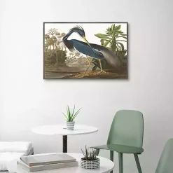 Kirklands Home Canvas Art|Louisiana Heron Framed Canvas Art Print