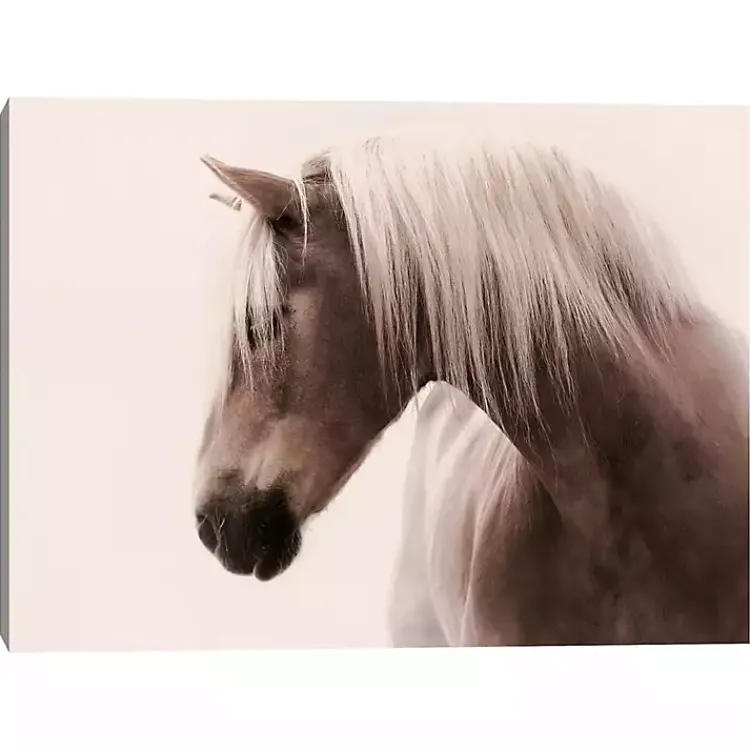 Kirklands Home Canvas Art|Magnificent In Sepia Canvas Art Print, 40x30 in.