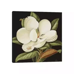 Kirklands Home Canvas Art|Magnolia Grandiflora Canvas Art Print White