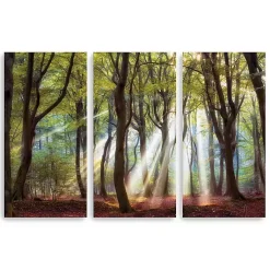 Kirklands Home Canvas Art|Majestic Morning Canvas Art Prints, Set of 3 Green
