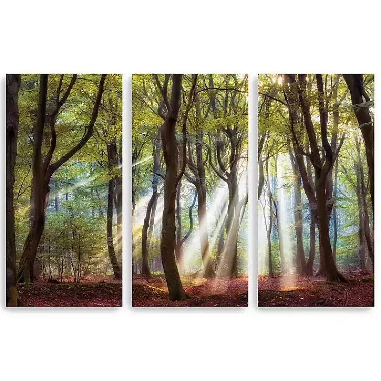Kirklands Home Canvas Art|Majestic Morning Canvas Art Prints, Set of 3 Green