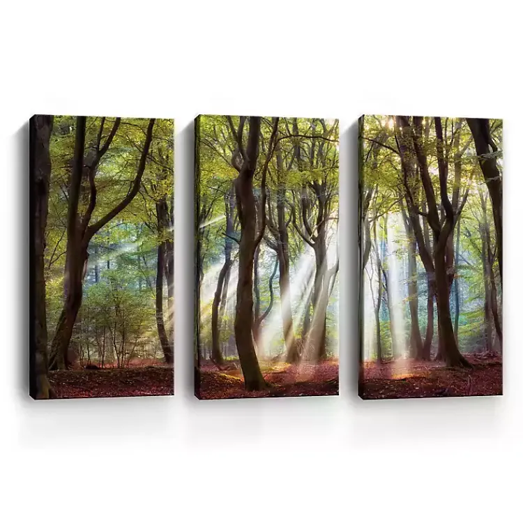 Kirklands Home Canvas Art|Majestic Morning Canvas Art Prints, Set of 3 Green