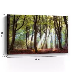 Kirklands Home Canvas Art|Majestic Morning Giclee Canvas Art Print Multi