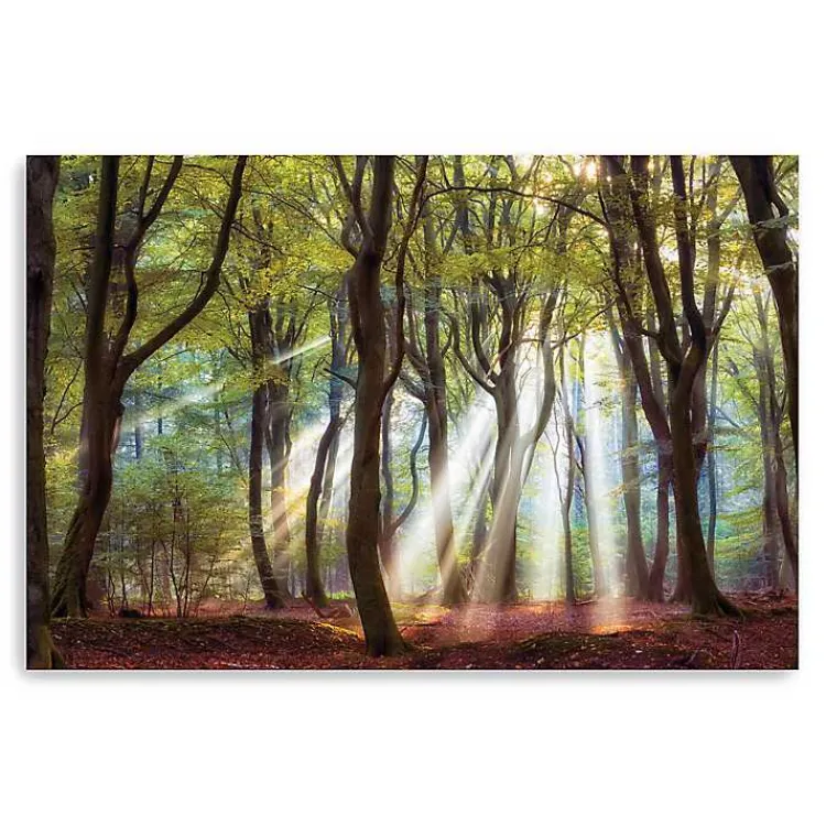 Kirklands Home Canvas Art|Majestic Morning Giclee Canvas Art Print Green