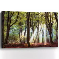 Kirklands Home Canvas Art|Majestic Morning Giclee Canvas Art Print Green