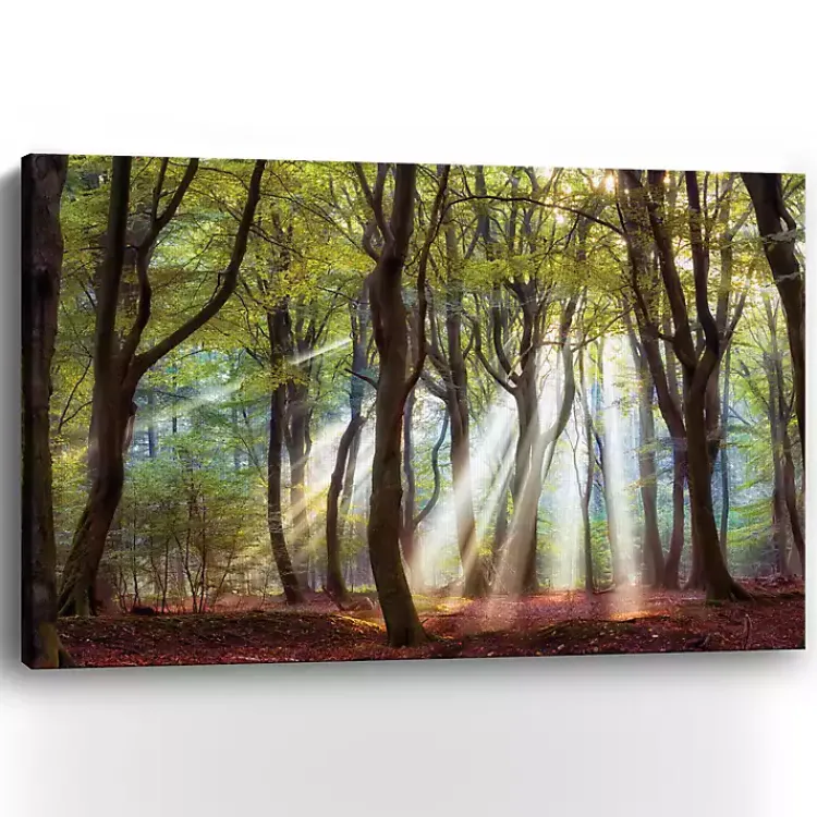 Kirklands Home Canvas Art|Majestic Morning Giclee Canvas Art Print Green