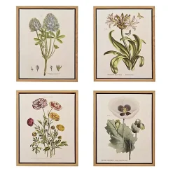 Kirklands Home Canvas Art|Martha Stewart Herb and Floral Framed Print Set