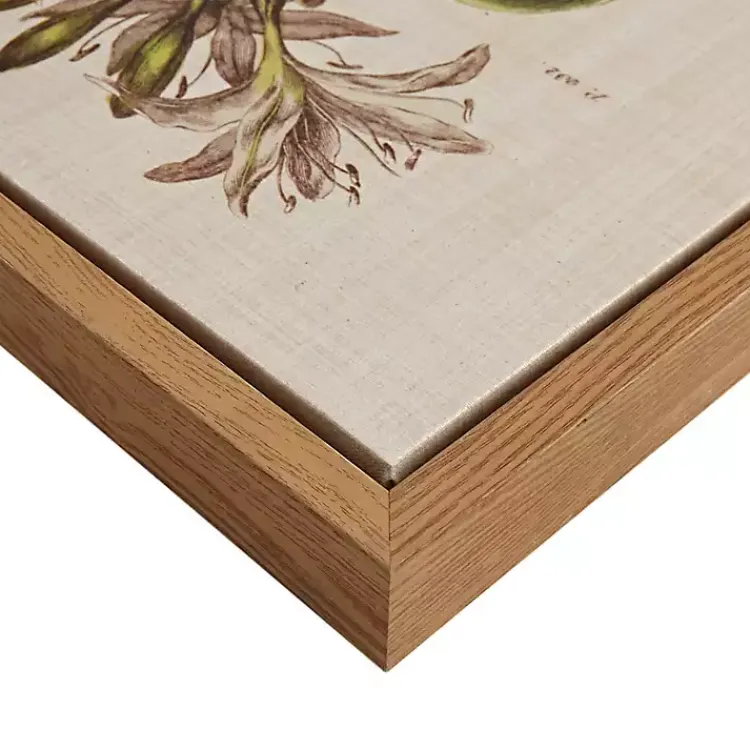 Kirklands Home Canvas Art|Martha Stewart Herb and Floral Framed Print Set