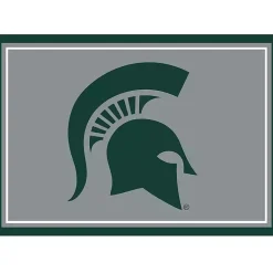 Kirklands Home Area Rugs|Michigan State University Area Rug, 3x4